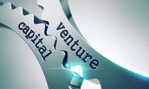 Venture-Capital500x300